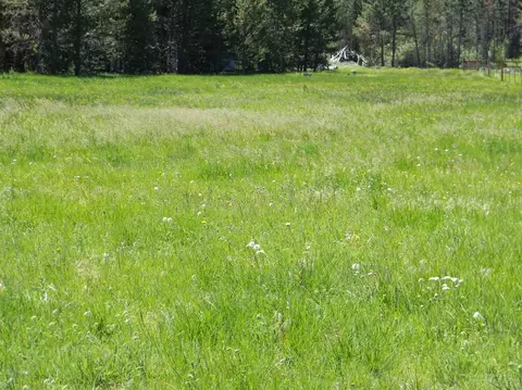 16999 Downey Rd, Bend, OR 97707 photo 3