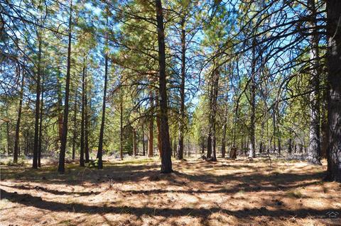 13675 Hawks Beard, Black Butte Ranch, OR 97759 photo 2