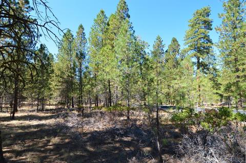 13675 Hawks Beard, Black Butte Ranch, OR 97759 photo 4