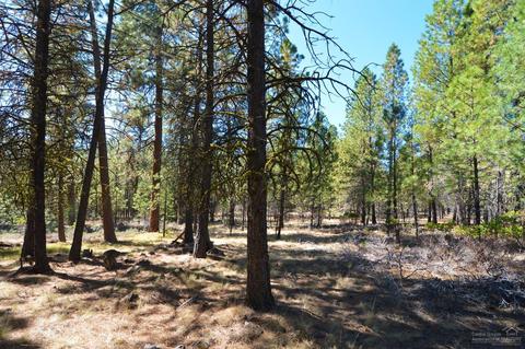 13675 Hawks Beard, Black Butte Ranch, OR 97759 photo 3