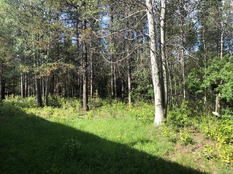 52274 Elderberry Ln, La Pine, OR 97739 photo 12