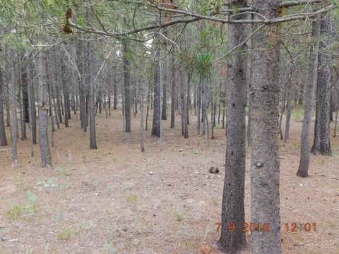 16104 Amber Ln, La Pine, OR 97739 photo 20