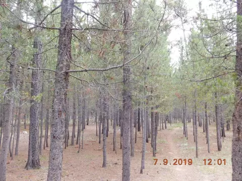 16104 Amber Ln, La Pine, OR 97739 photo 21