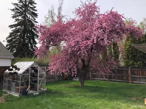 1453 NE 9th St, Bend, OR 97701 photo 23