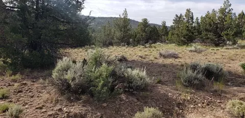 6540 SE Davis Loop, Prineville, OR 97754 photo 8