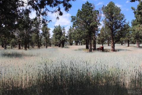 18245 E Plainview Rd, Bend, OR 97703 photo 19