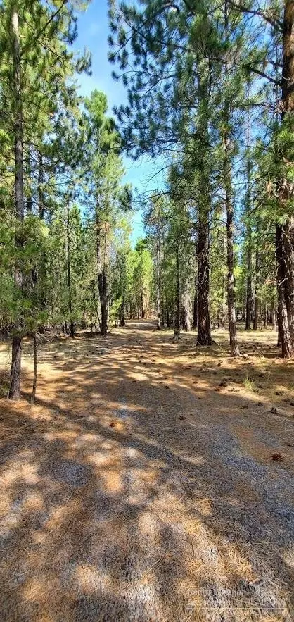 51949 Pacific Willow, La Pine, OR 97739 photo 2
