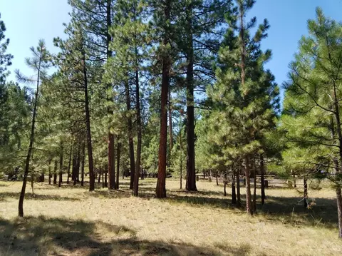 14540 Mountain View Loop, Sisters, OR 97759 photo 3