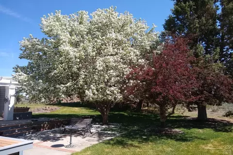 60830 Jennings Rd, Bend, OR 97702 photo 18