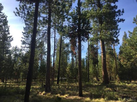 55422 Gross Dr, Bend, OR 97707 photo 23
