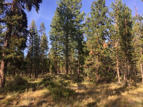 55422 Gross Dr, Bend, OR 97707 photo 24
