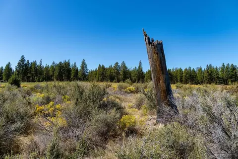 18882 Sutherland Ct, Bend, OR 97702 photo 6