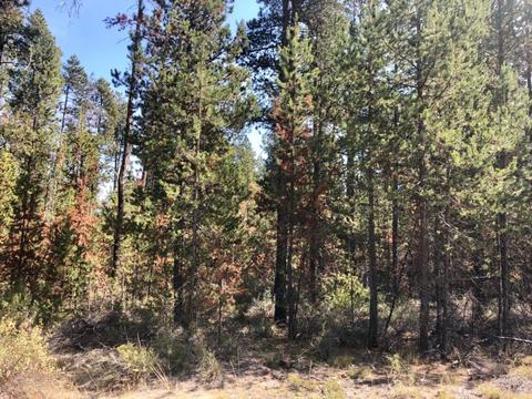 51328 Mitchell Rd, La Pine, OR 97739 photo 3