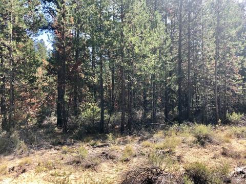 51328 Mitchell Rd, La Pine, OR 97739 photo 2