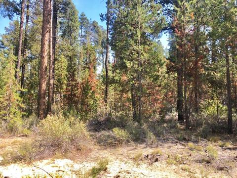 51328 Mitchell Rd, La Pine, OR 97739 photo 1