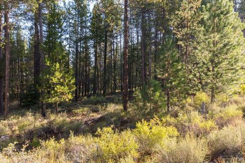 16980 Spring River Rd, Bend, OR 97707 photo 4