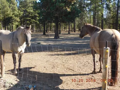6506 Rosa Ln, La Pine, OR 97739 photo 12