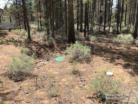 53853 Yoho Dr, La Pine, OR 97739 photo 12