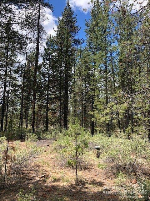 53853 Yoho Dr, La Pine, OR 97739 photo 5