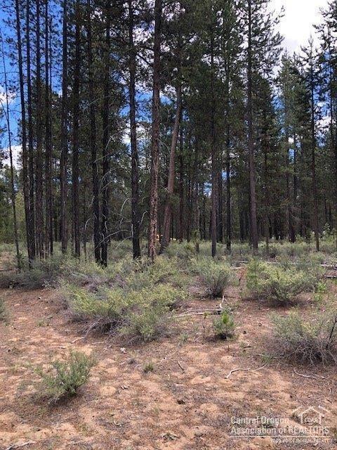 53853 Yoho Dr, La Pine, OR 97739 photo 3