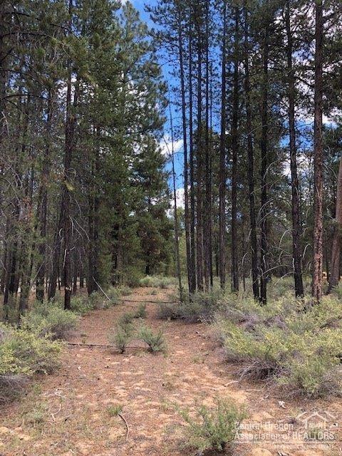 53853 Yoho Dr, La Pine, OR 97739 photo 1