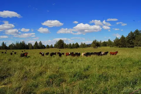 23450 Walker Rd, Bend, OR 97701 photo 18