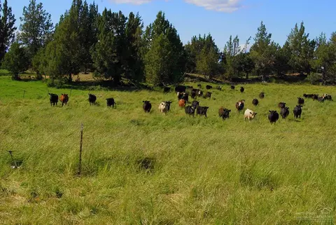 23450 Walker Rd, Bend, OR 97701 photo 1