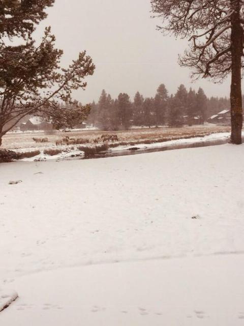 55655 Gatehouse Ln, Bend, OR 97707 photo 26