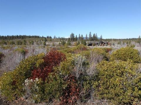 61435 Cannon Ct, Bend, OR 97702 photo 2