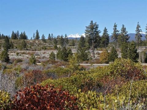 61435 Cannon Ct, Bend, OR 97702 photo 1