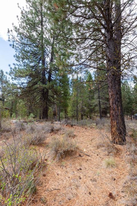 16755 Casper Dr, Bend, OR 97707 photo 4