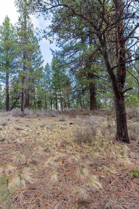 16755 Casper Dr, Bend, OR 97707 photo 7