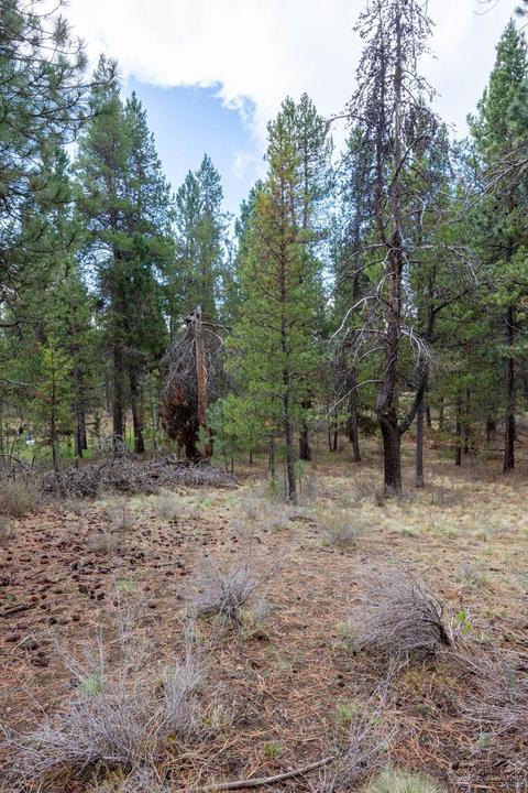 16755 Casper Dr, Bend, OR 97707 photo 6