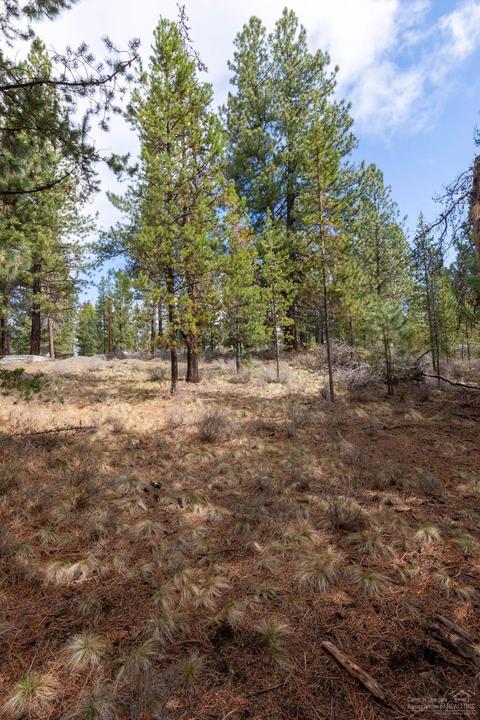 16755 Casper Dr, Bend, OR 97707 photo 5