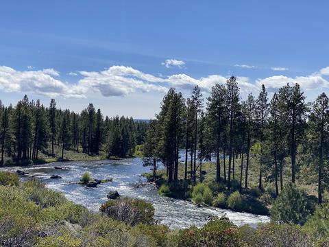 60891 SW Headwaters Loop, Bend, OR 97702 photo 14