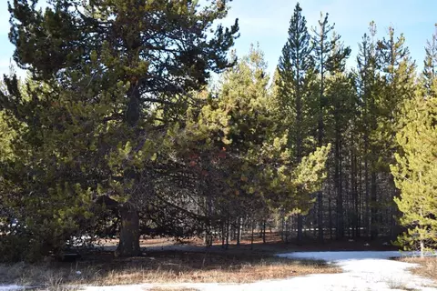 52110 Pine Forest Dr, La Pine, OR 97739 photo 22