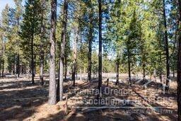 56340 Fireglass Loop, Bend, OR 97707 photo 2