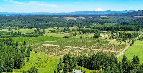 22501 S Schieffer Rd, Colton, OR 97017 photo 18