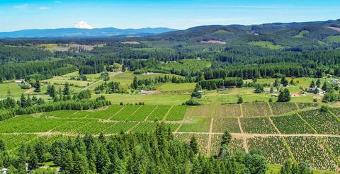22501 S Schieffer Rd, Colton, OR 97017 photo 19