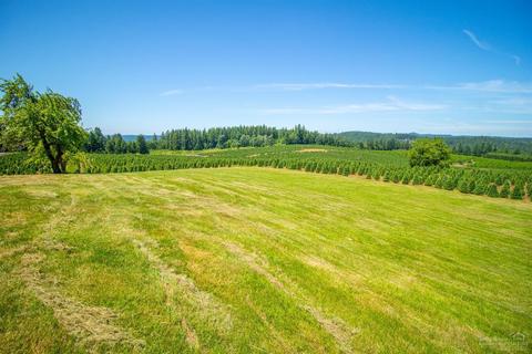 22501 S Schieffer Rd, Colton, OR 97017 photo 20