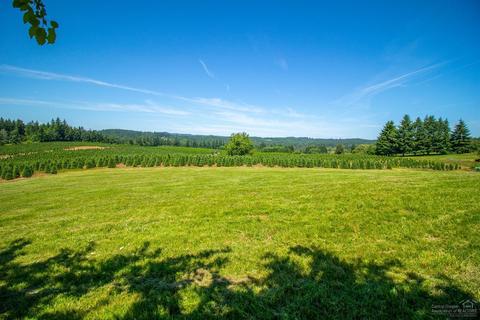 22501 S Schieffer Rd, Colton, OR 97017 photo 22