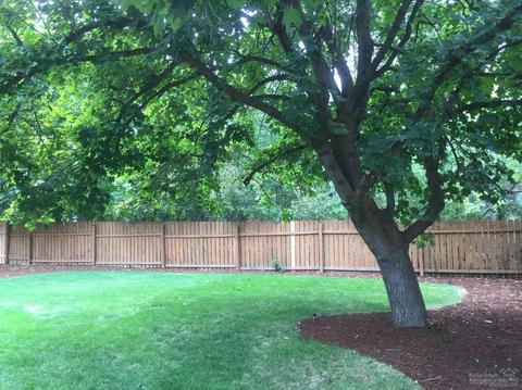 851 NE 8th St, Bend, OR 97701 photo 8