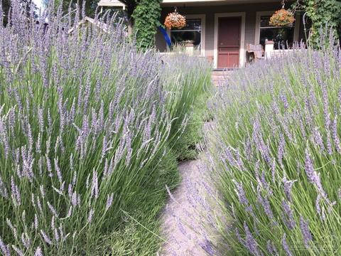 1436 NW 3rd St, Bend, OR 97703 photo 31