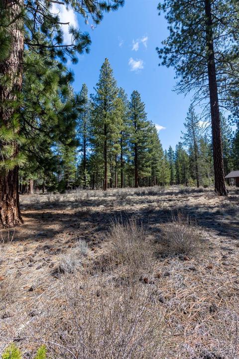 56149 Sable Rock Loop, Bend, OR 97707 photo 5