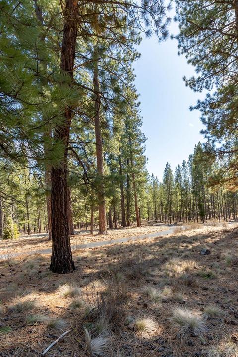 56149 Sable Rock Loop, Bend, OR 97707 photo 6