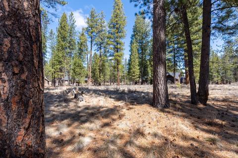56149 Sable Rock Loop, Bend, OR 97707 photo 9