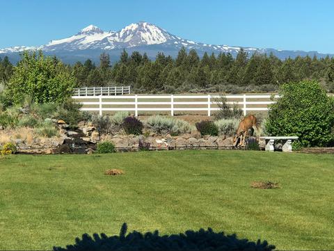 18117 Cascade Estates Dr, Bend, OR 97703 photo 29
