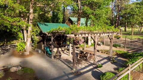 1316 E Fork Rd, Williams, OR 97544 photo 35