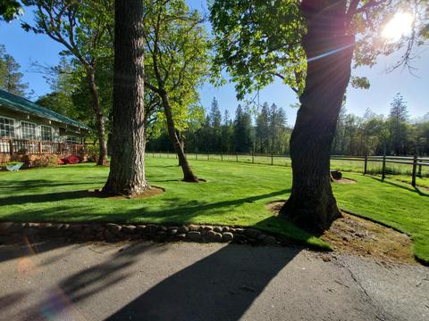 1316 E Fork Rd, Williams, OR 97544 photo 55