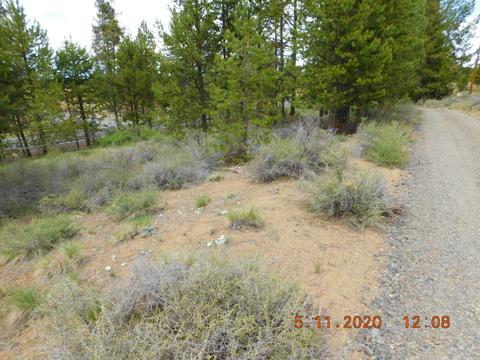 53390 Riverview Dr, La Pine, OR 97739 photo 13